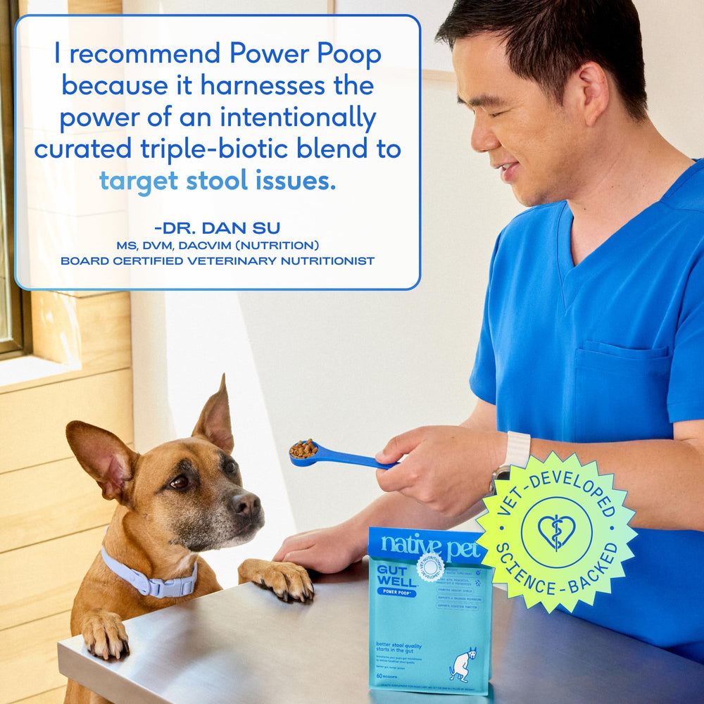 Native Pet GutWell Power Poop textura en polvo apta para mezclar.