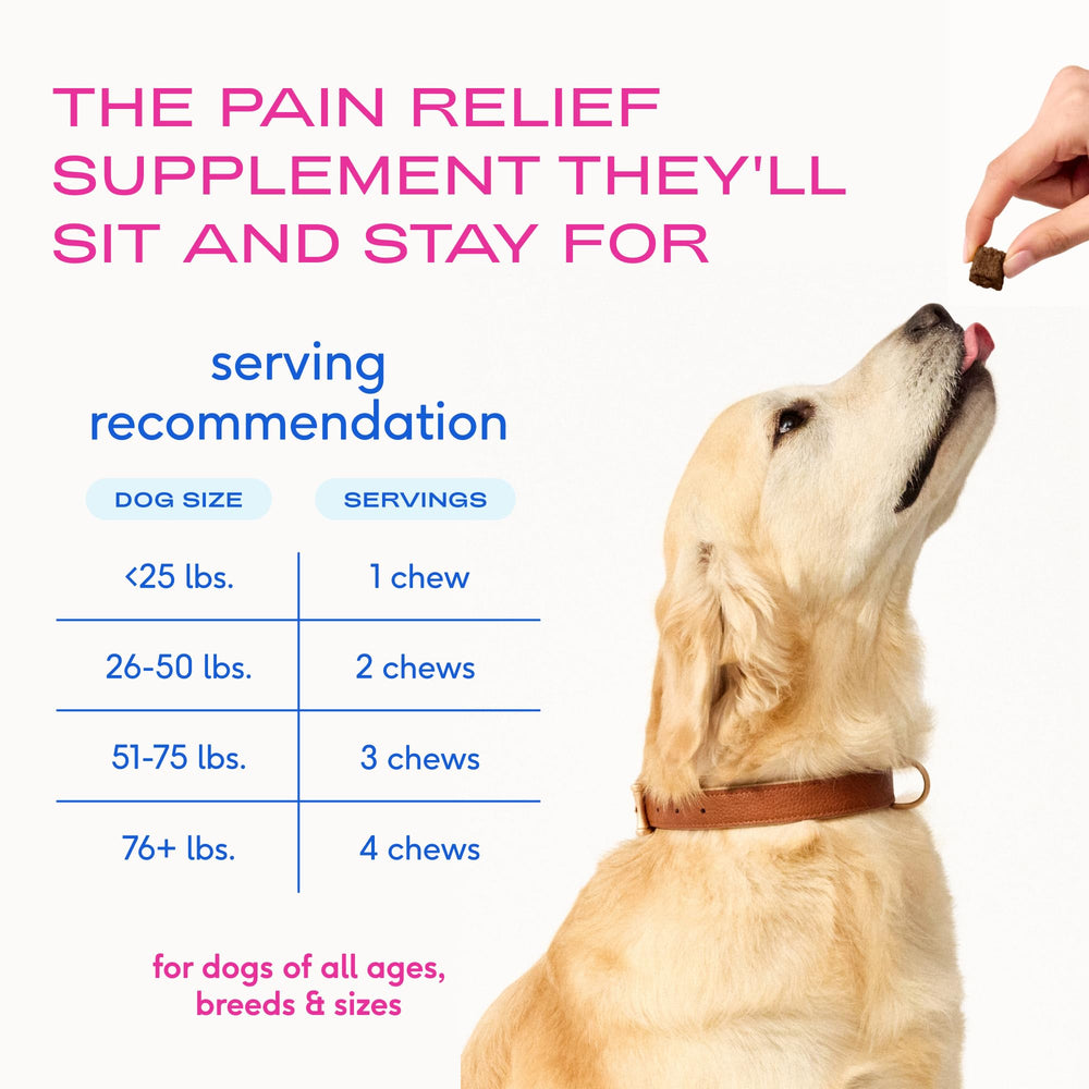 Native Pet Inflammatory Care: envase de 120 croquetas para uso diario