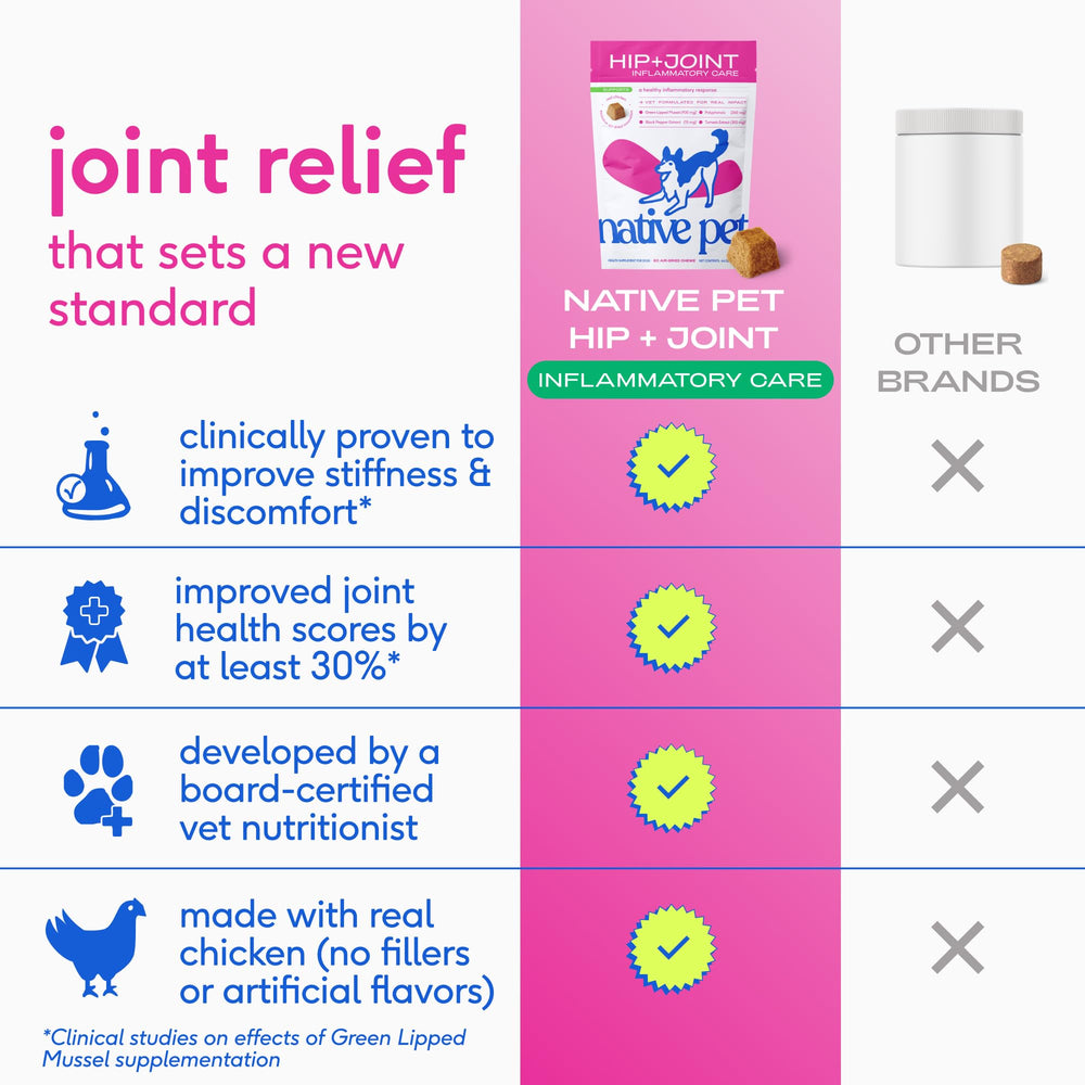 Native Pet Inflammatory Care: perro disfruta de las masticables tras la comida