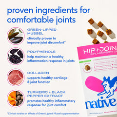 Native Pet Inflammatory Care USA-made packaging signals clean ingredients.