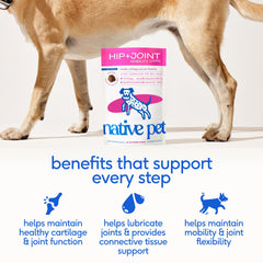 Native Pet Mobility Care gomitas-perro: masticables para favorecer la movilidad.