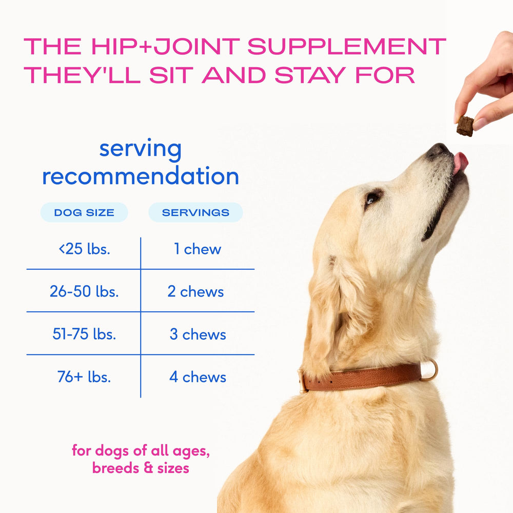 Native Pet Mobility Care lubricacion-articular: ayuda a la lubricación de las articulaciones.