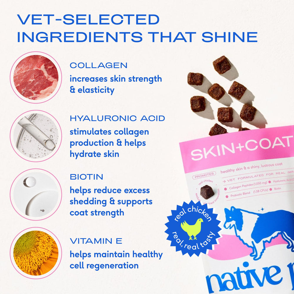 Native Pet masticables para pelo del perro con brillo.
