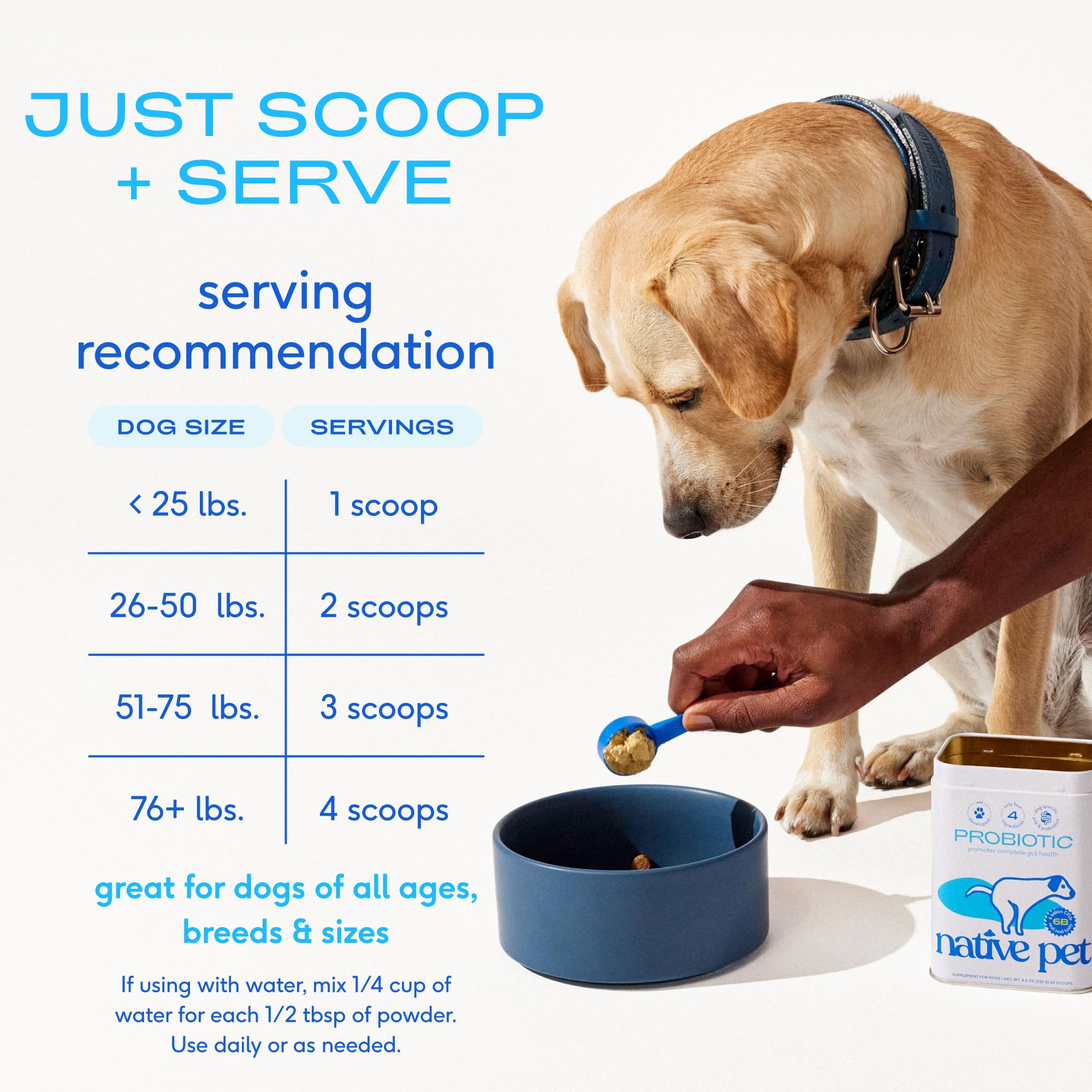 Native Pet Probiotics fibra-prebioticos, nutrición diaria para microbiota