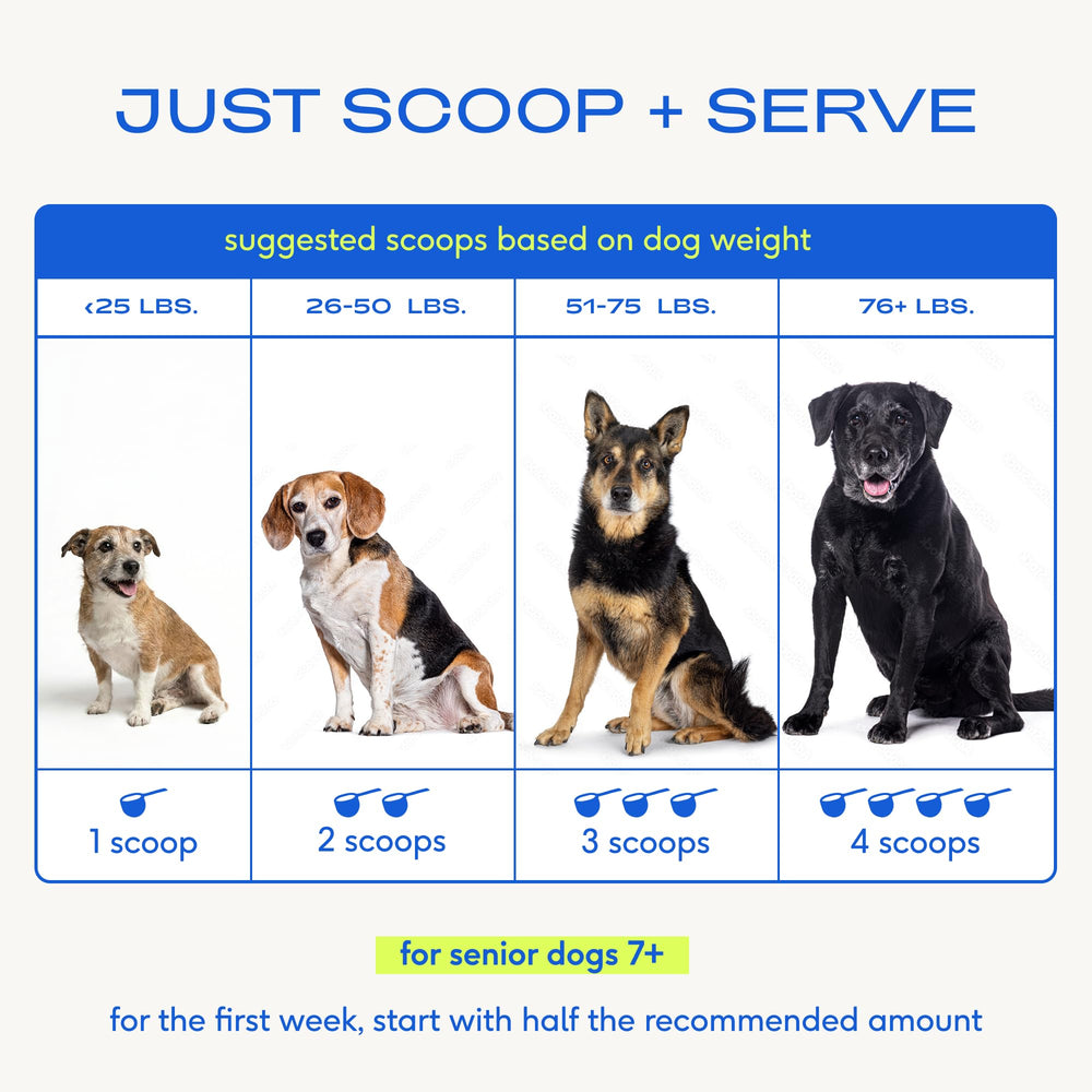 Native Pet Senior: modo de uso simple para rutina diaria