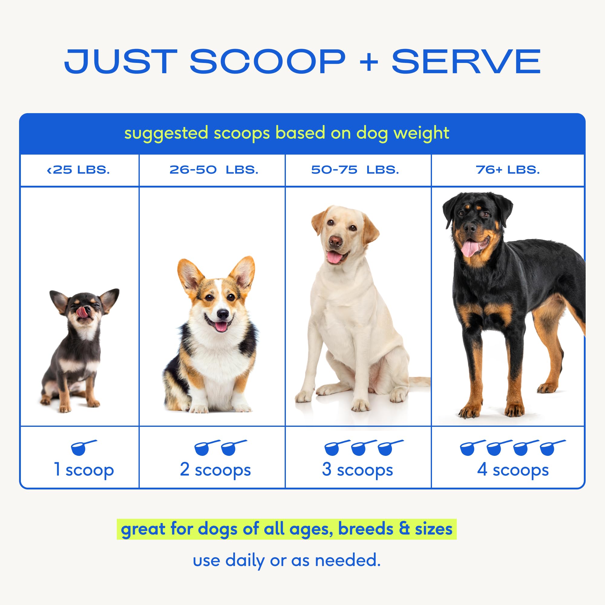 Native Pet, polvo para corazón y cognición en perros activos y curiosos.