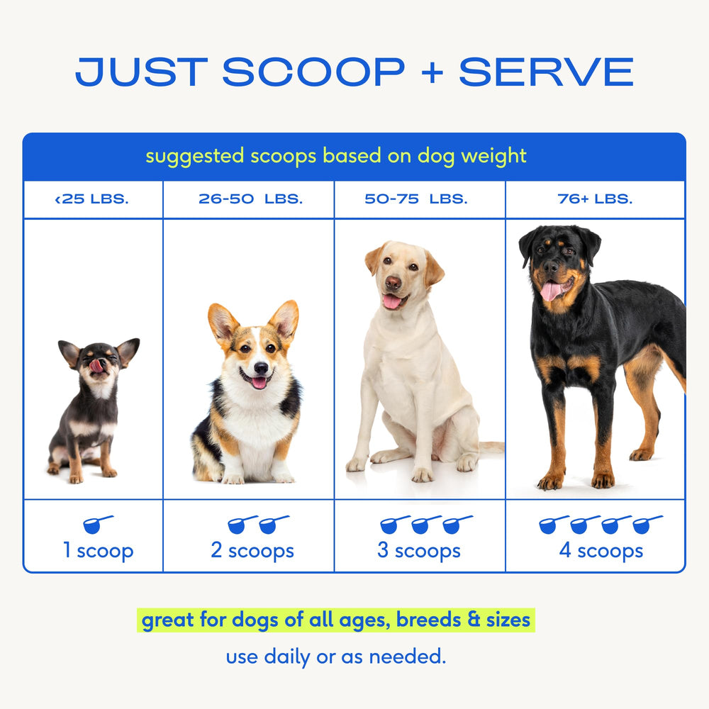 Native Pet, polvo para corazón y cognición en perros activos y curiosos.