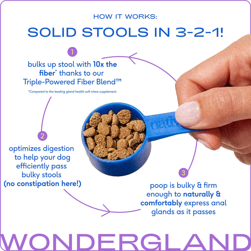 WonderGland espolvoreado sobre comida, mejora la experiencia diaria