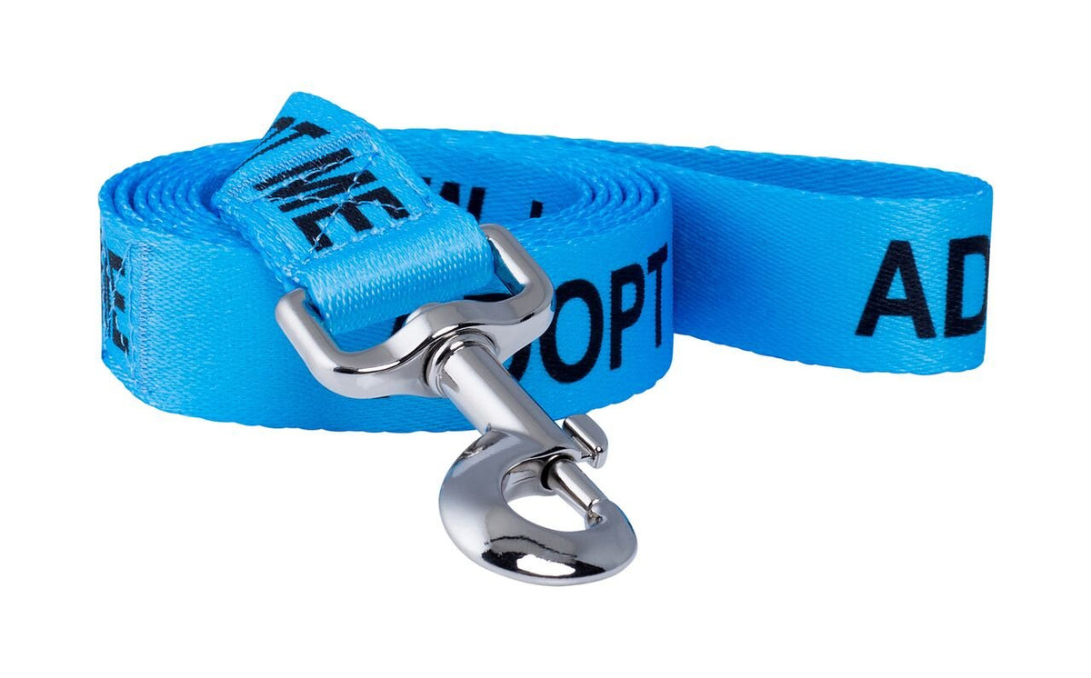 Correa Adopt Me de Native Pup en azul, ideal para paseos seguros.