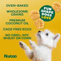 NATOO galletas coco mango para cachorros, textura crujiente y digestión suave.