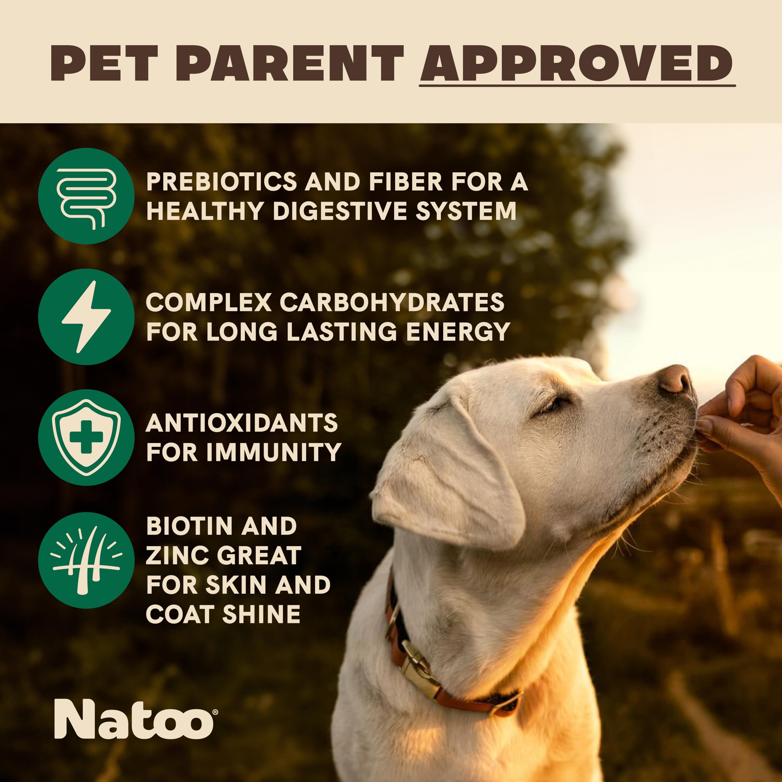 NATOO: galletas en primer plano, sabor coco mango, ideal para premiar con equilibrio.