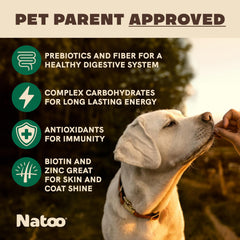 NATOO: galletas en primer plano, sabor coco mango, ideal para premiar con equilibrio.