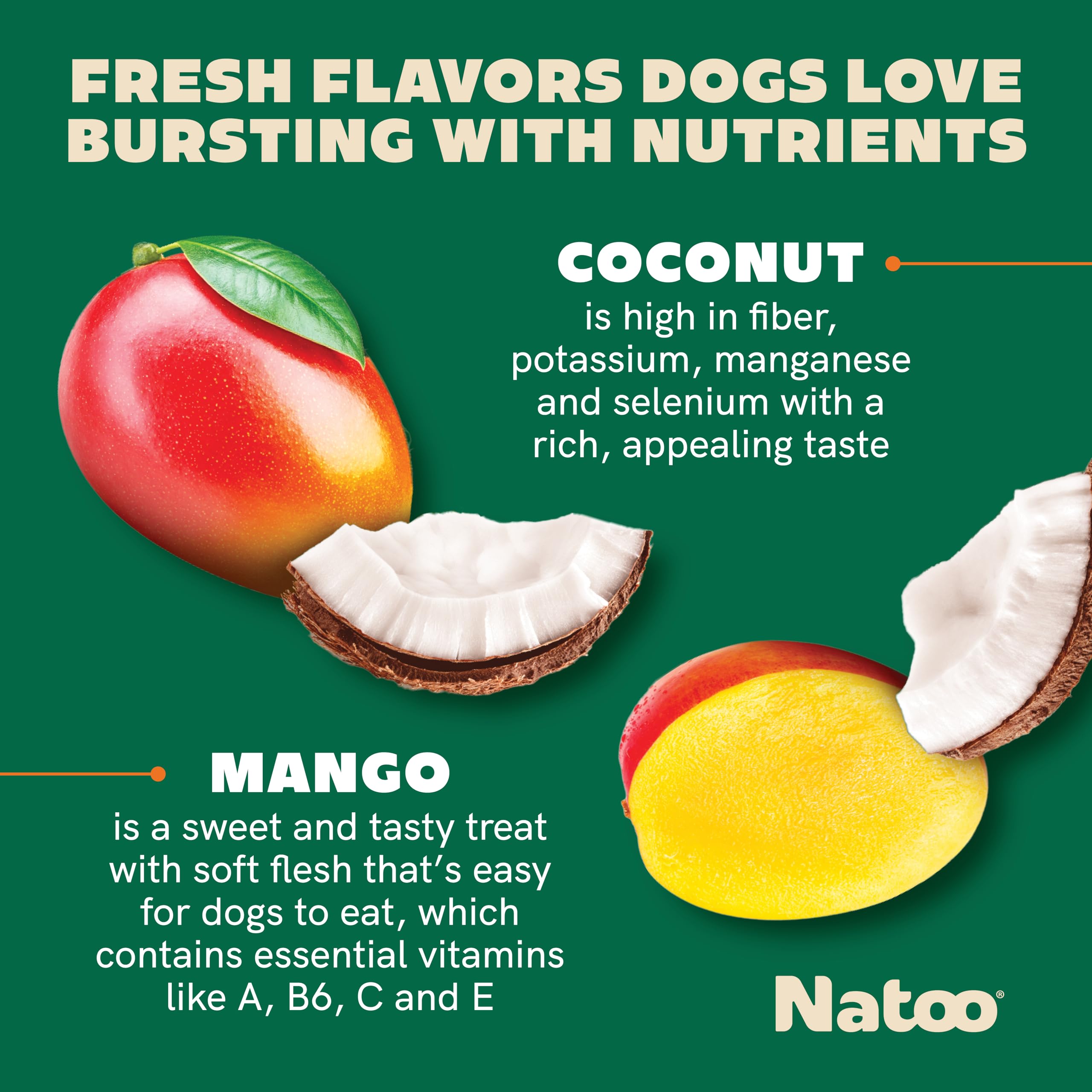 NATOO: perro disfrutando galleta coco mango, snack crujiente para energía diaria.