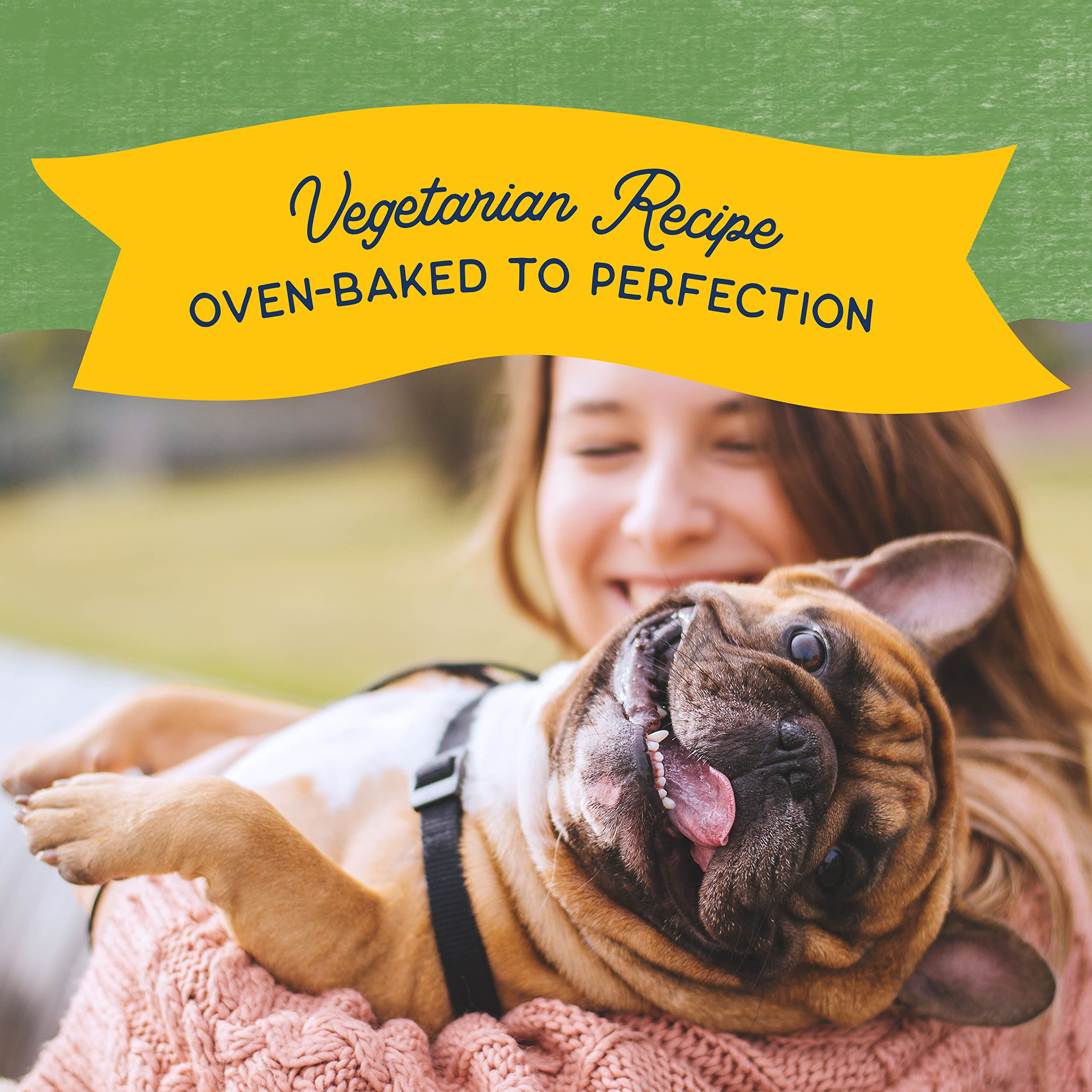 Natural Balance biscuits adaptés à tous les chiens adultes, saveur appréciée