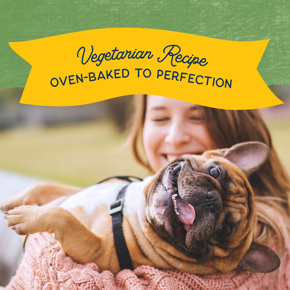 Natural Balance biscuits adaptés à tous les chiens adultes, saveur appréciée