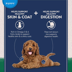 Natural Balance desarrollo cerebral DHA, apoya cachorros activos en crecimiento.