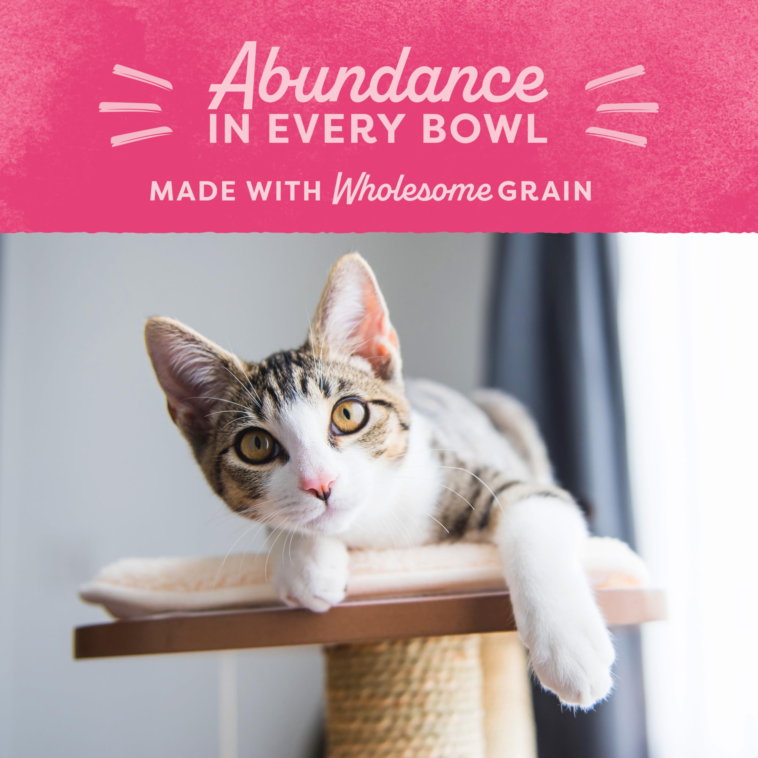 Natural Balance Fat Cats, apto para cualquier tipo de gato con nutrición equilibrada.