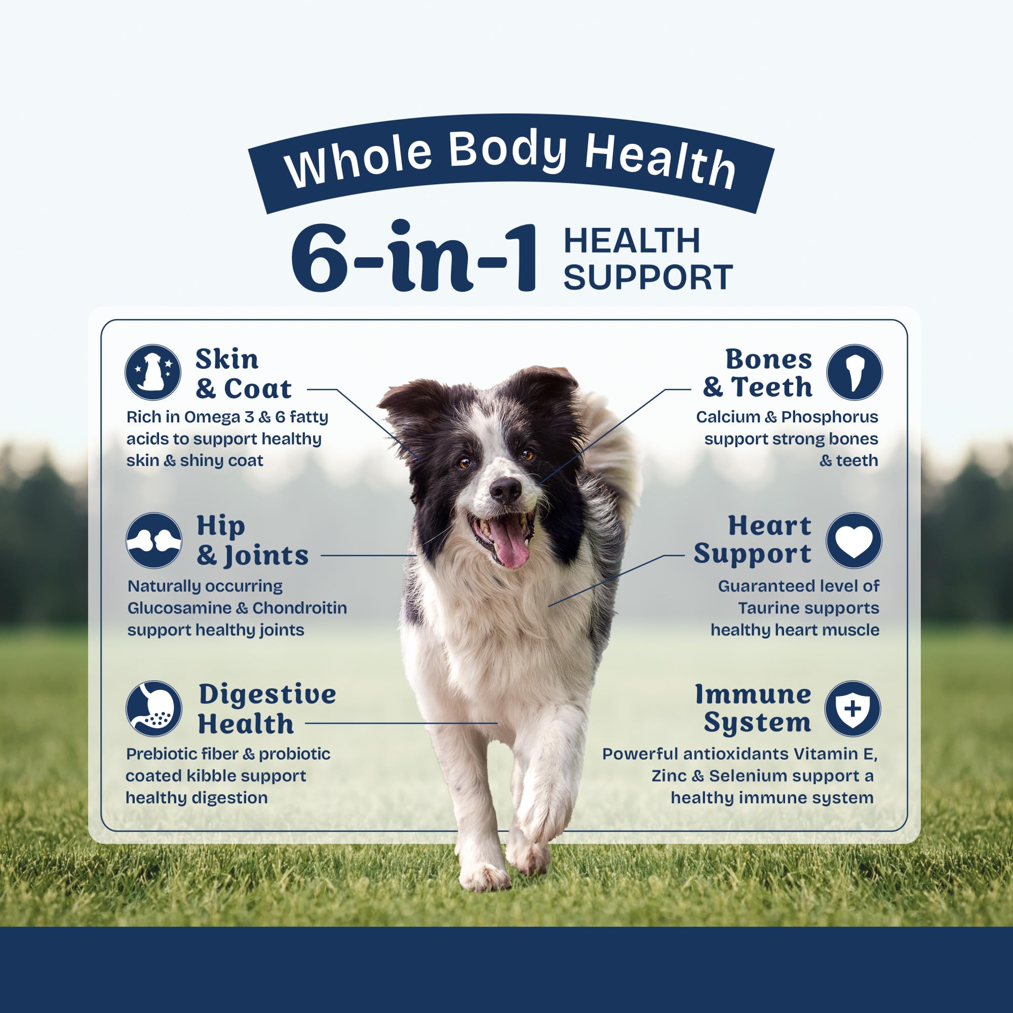 Natural Balance Health Protection arroz integral: fibra suave para digestión equilibrada.