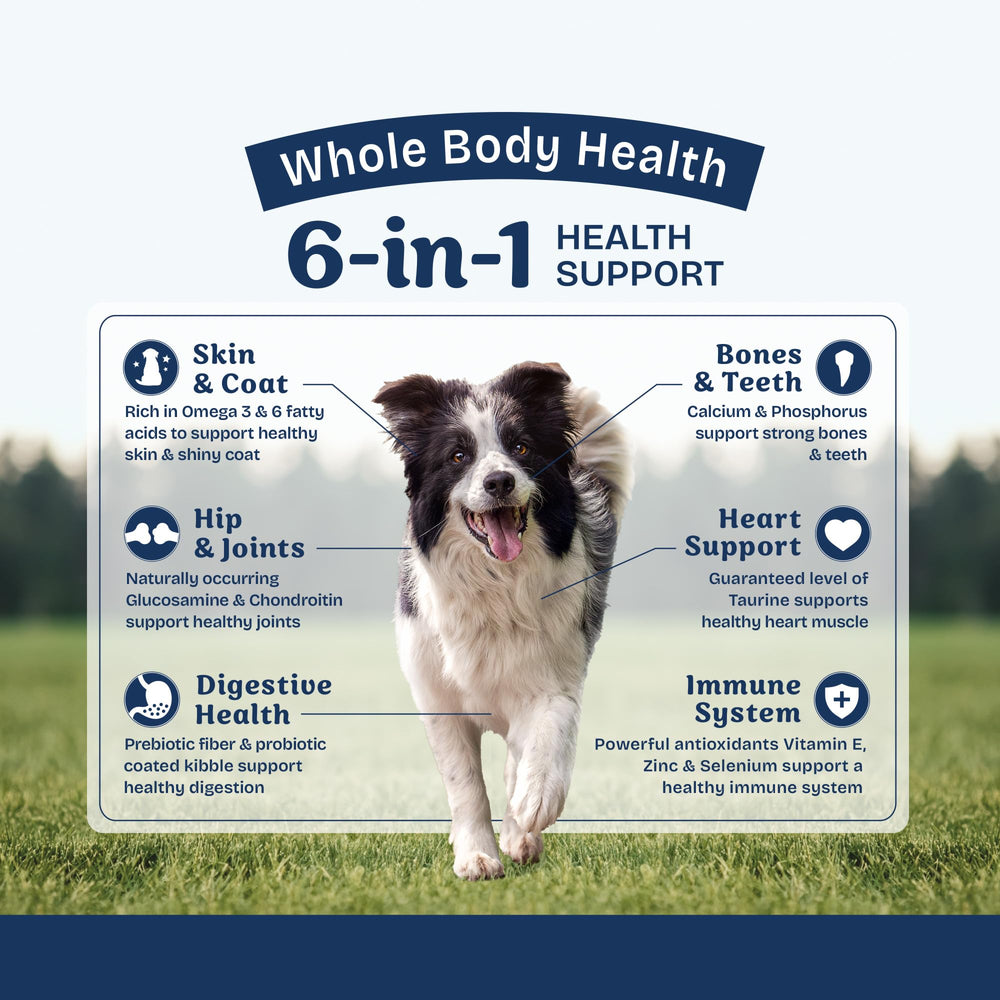 Natural Balance Health Protection arroz integral: fibra suave para digestión equilibrada.