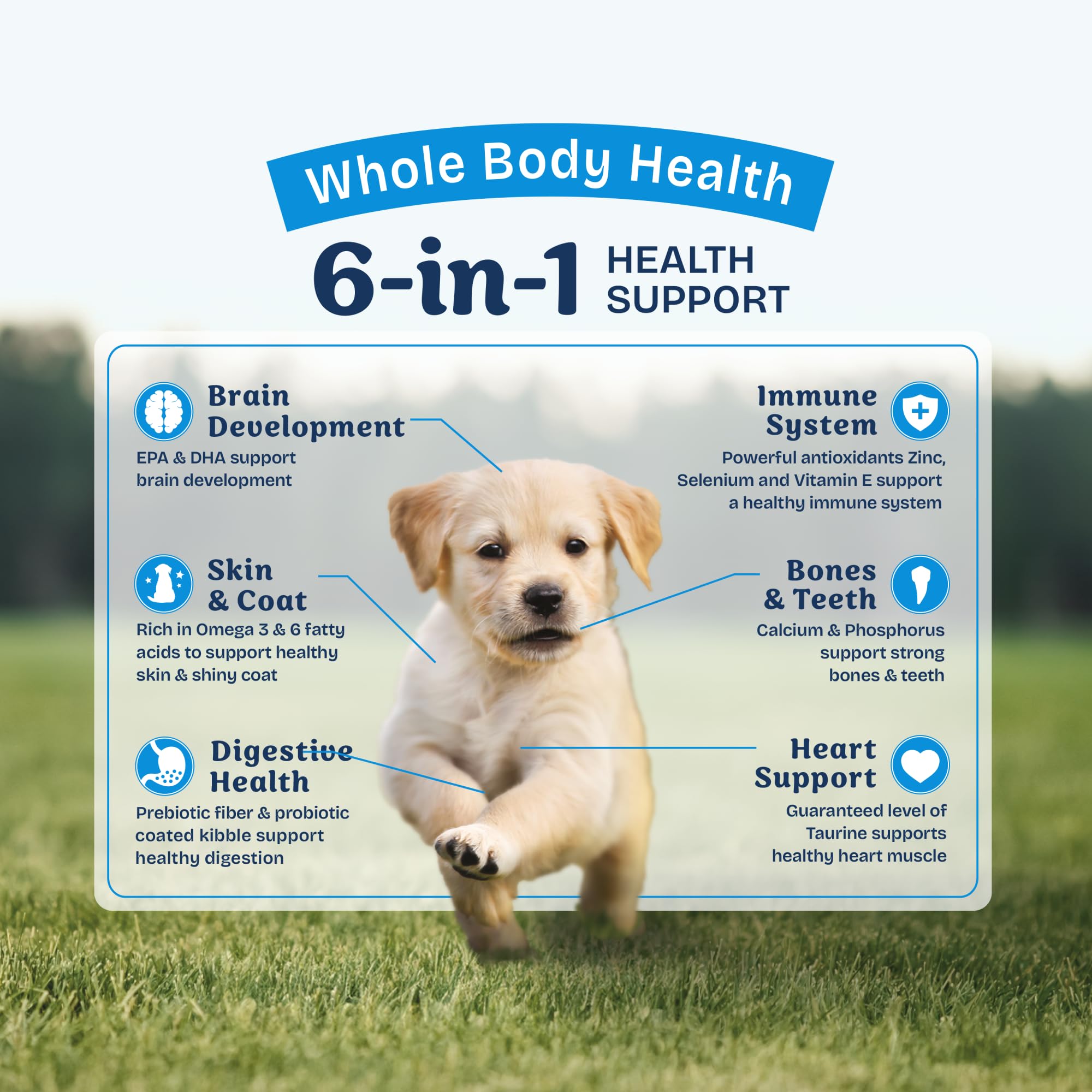 Natural Balance Health Protection Puppy: sin colores ni sabores artificiales añadidos
