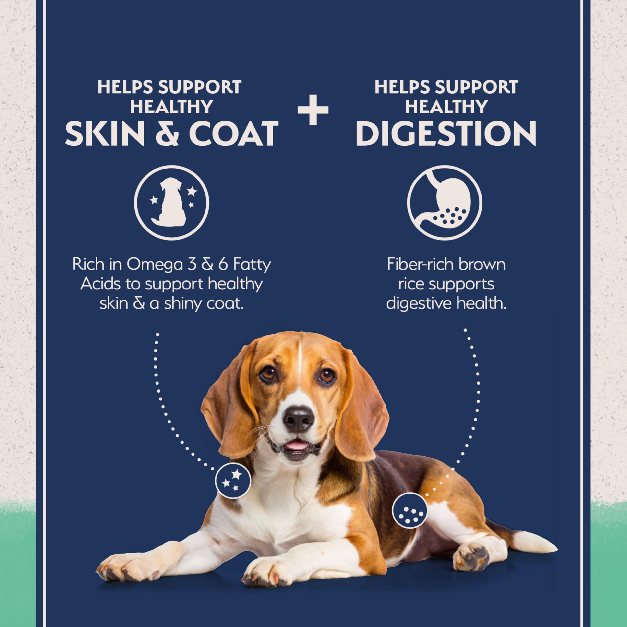 Kibble Natural Balance con pollo para perros, fuente de proteína