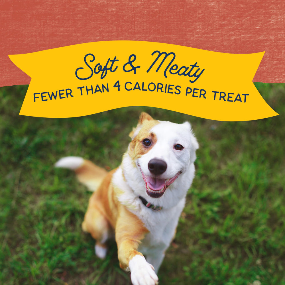 Natural Balance Mini-Rewards Dieta de ingredientes limitados para perros