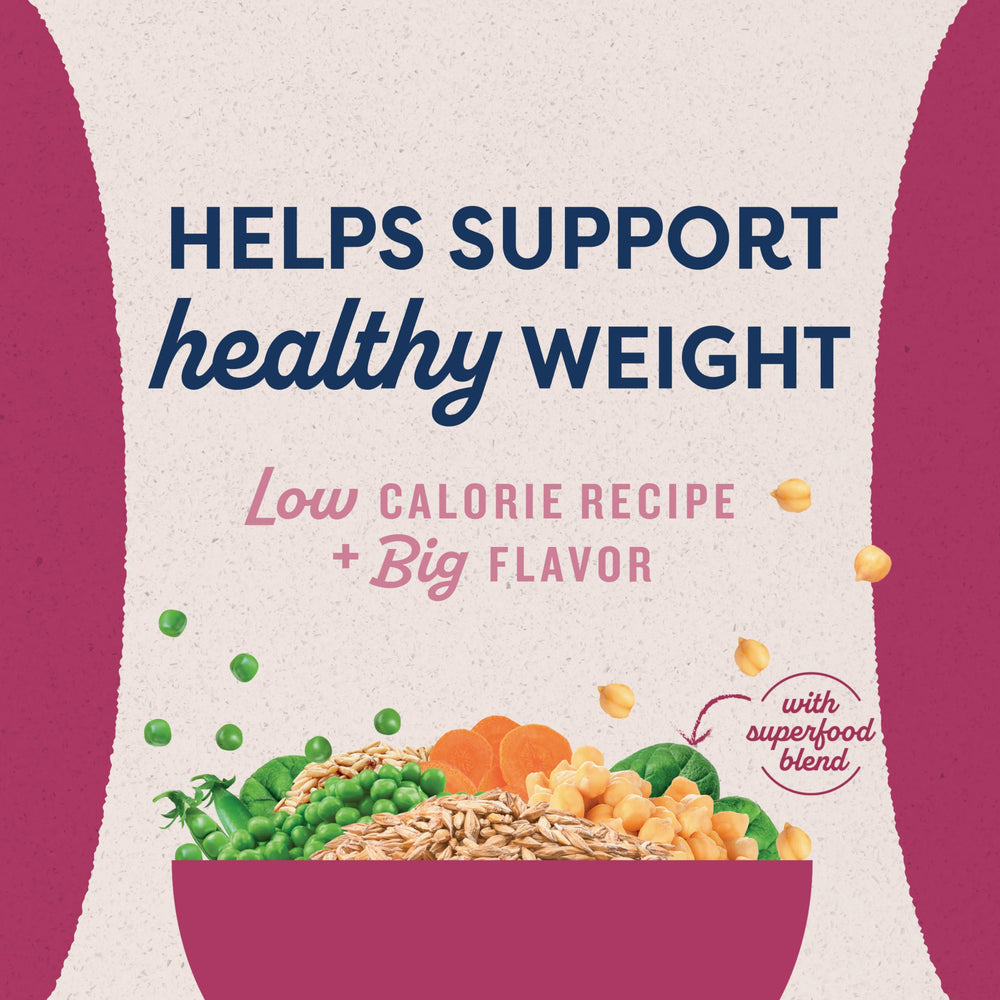 Natural Balance Original Ultra Fat, ingredientes clave como pollo y salmón, fuente de proteína de calidad.