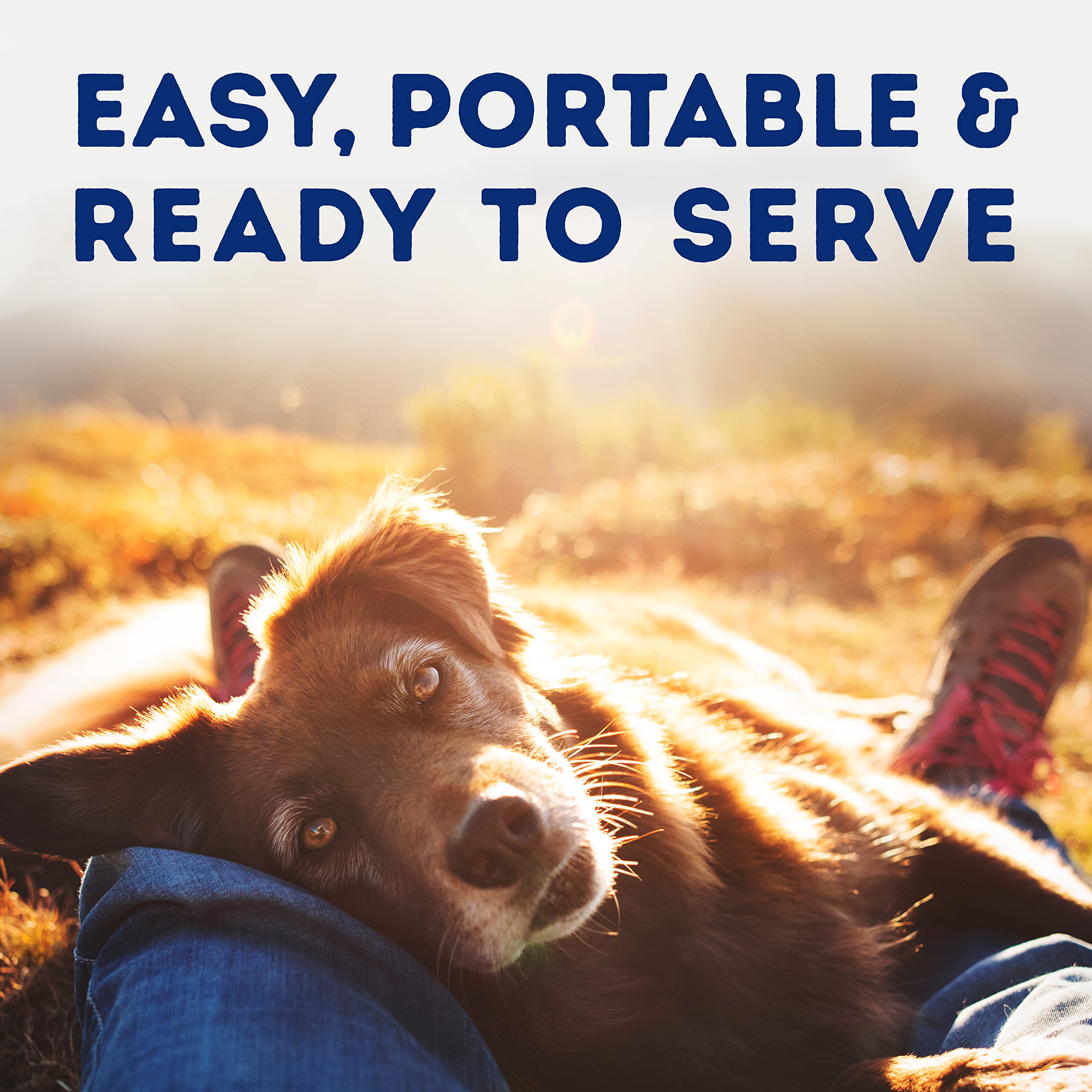 Natural Balance Platefulls sirve como comida principal o topper sabroso para perros