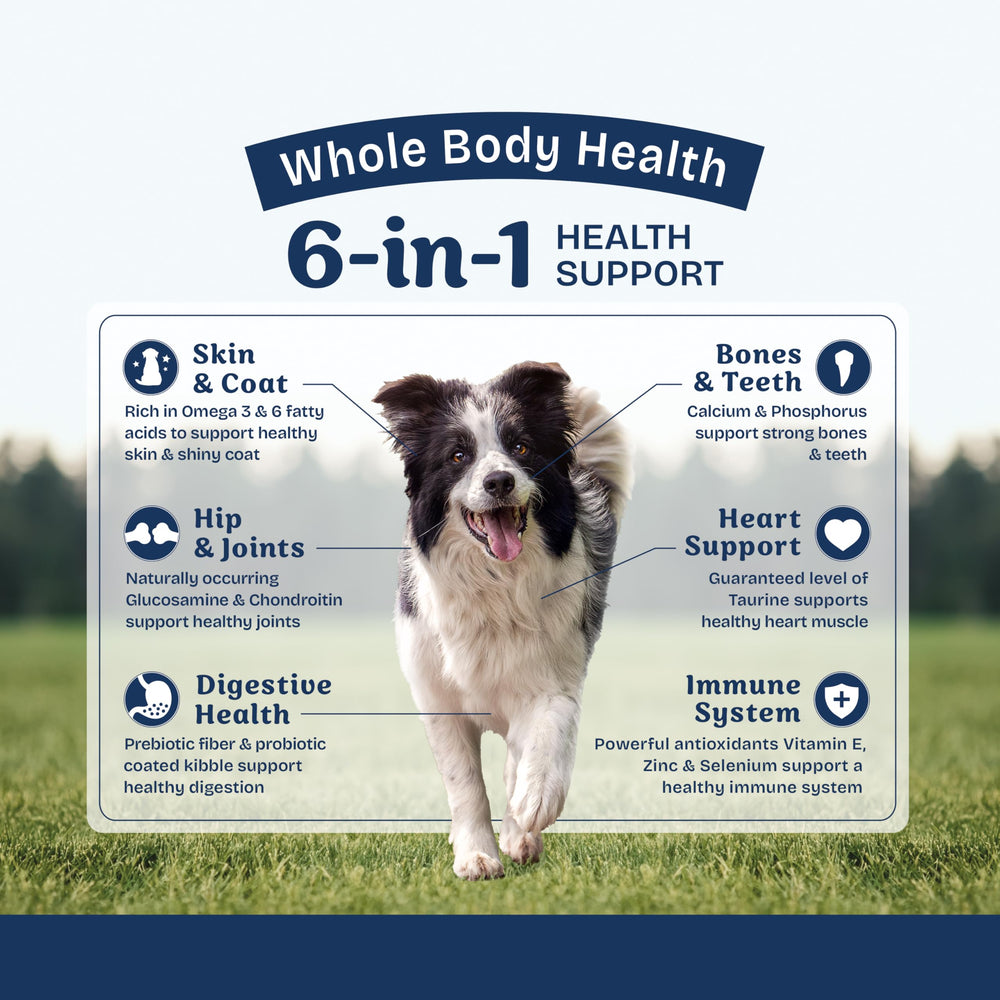 Natural Balance Protección Salud Arroz Integral: nutrición equilibrada para perros.