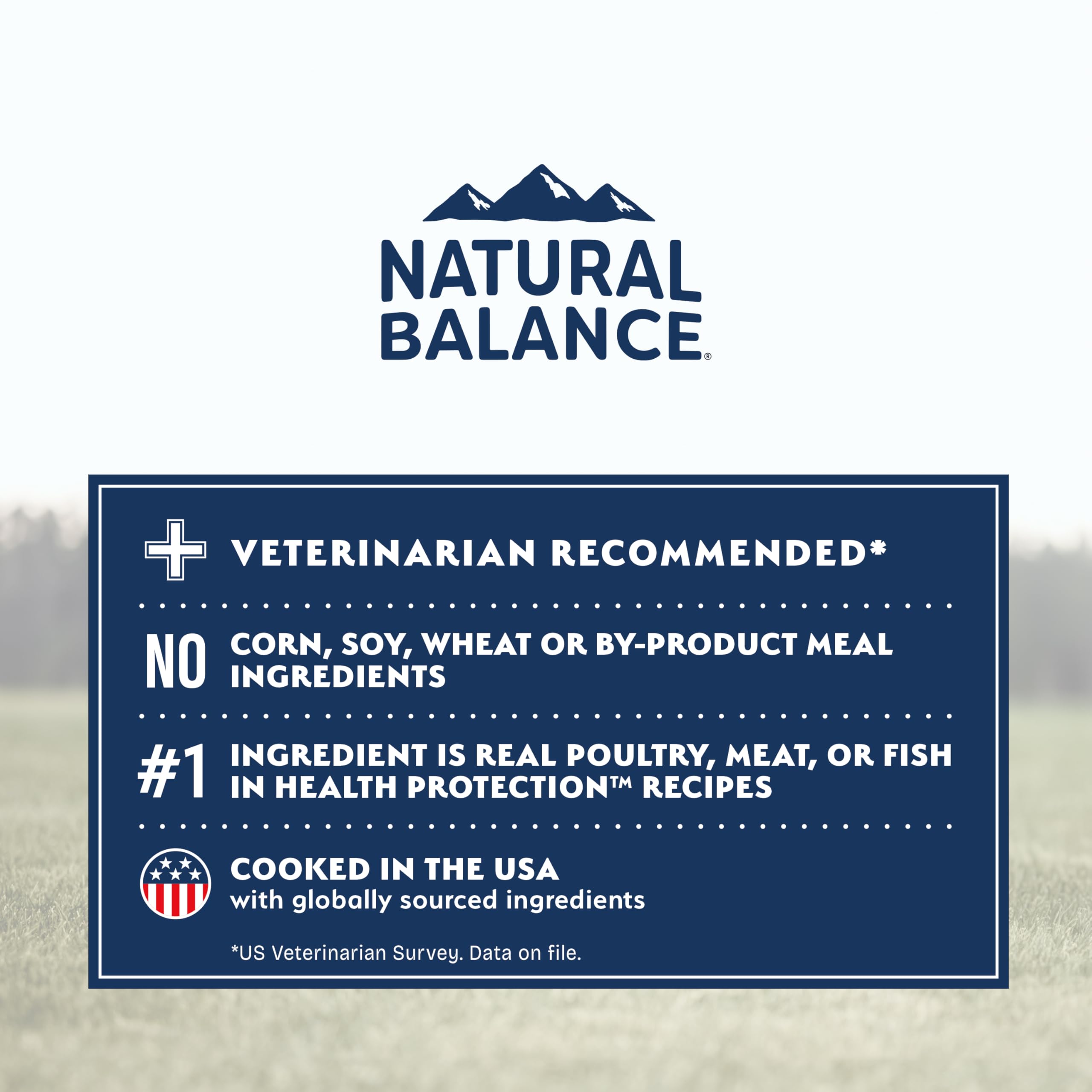 Natural Balance Protección Salud Calabaza: nutrientes para piel y pelaje.