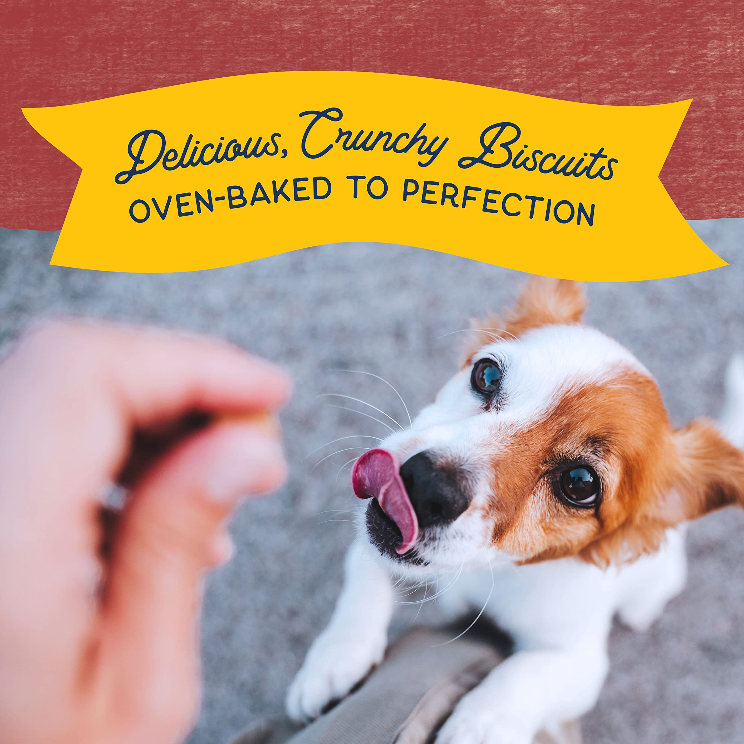 Natural Balance Rewards Crunchy Biscuits: sin granos, sin gluten, para paladares sensibles.