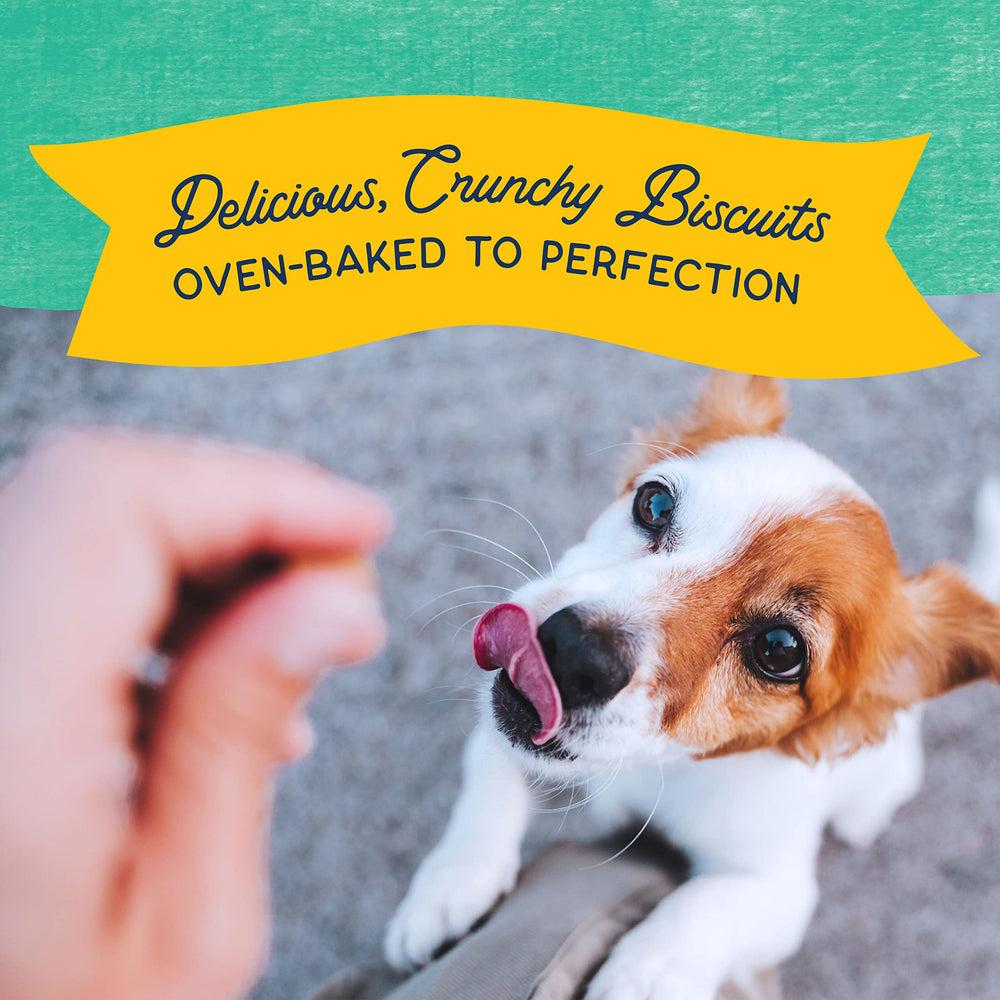 Natural Balance Rewards proteína única de pollo para perros