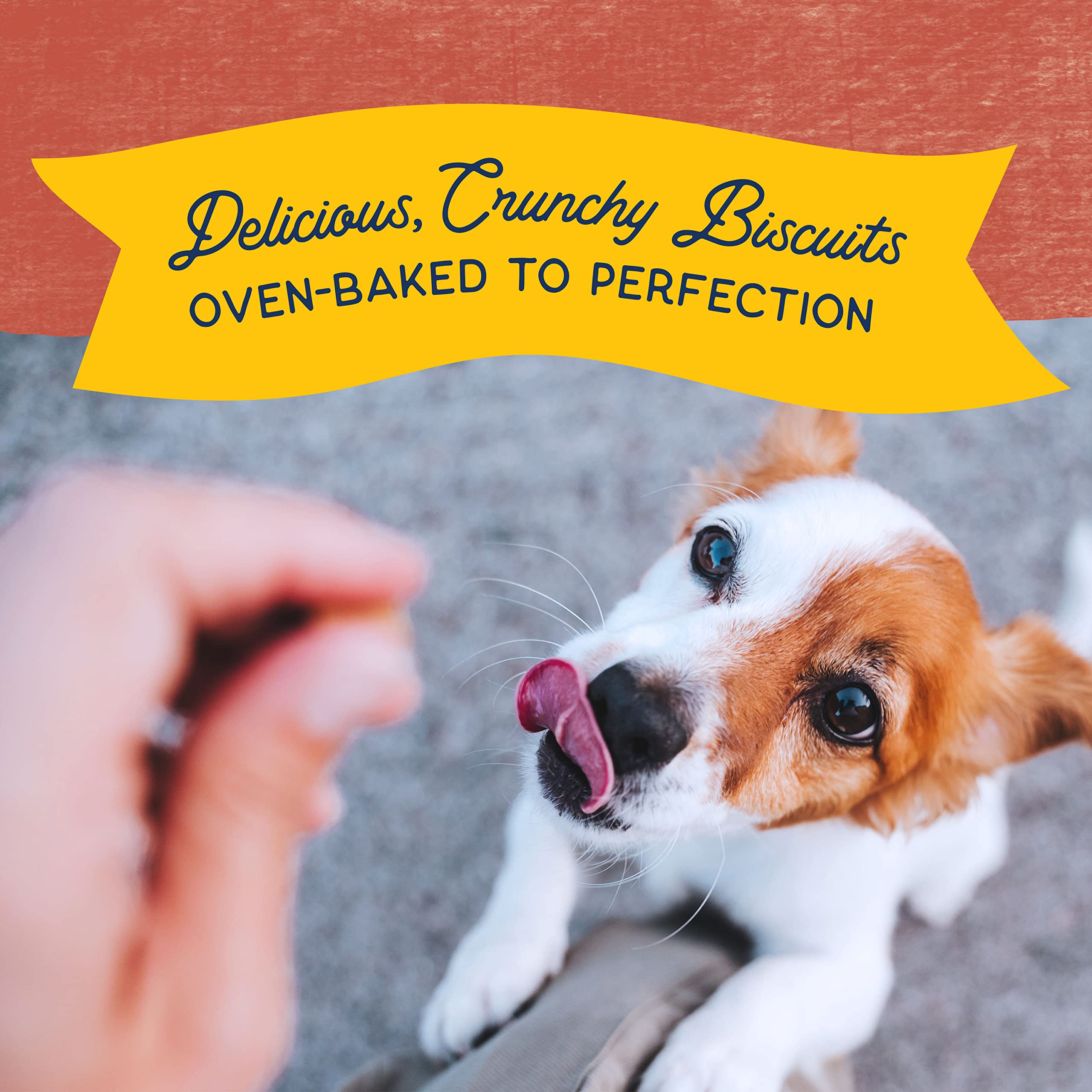 Natural Balance Rewards: formulado para perros pequeños, tamaño de bocado cómodo para masticar