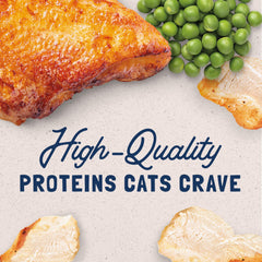 Natural Balance: sin granos con pollo, opción limpia para gatos.