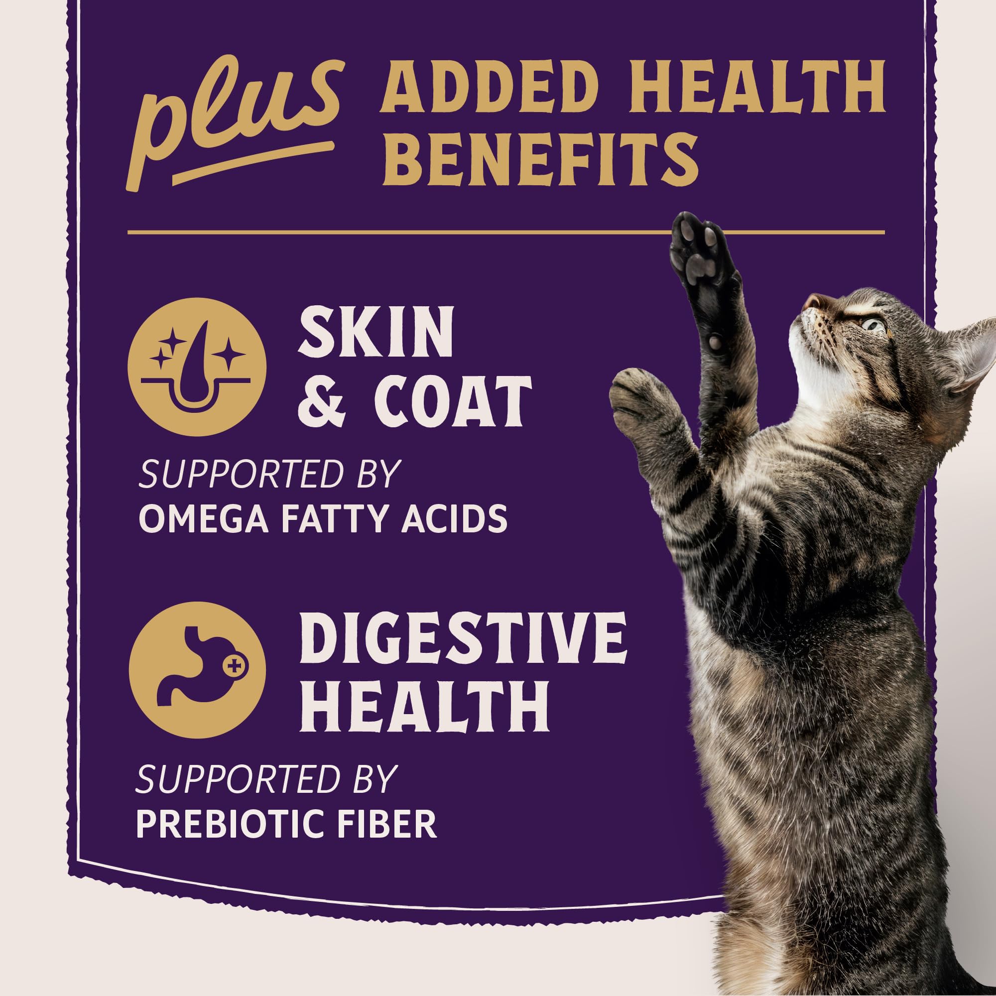 Natural Balance Ultra Protein Plus sabor premium para gatos exigentes en cada comida.