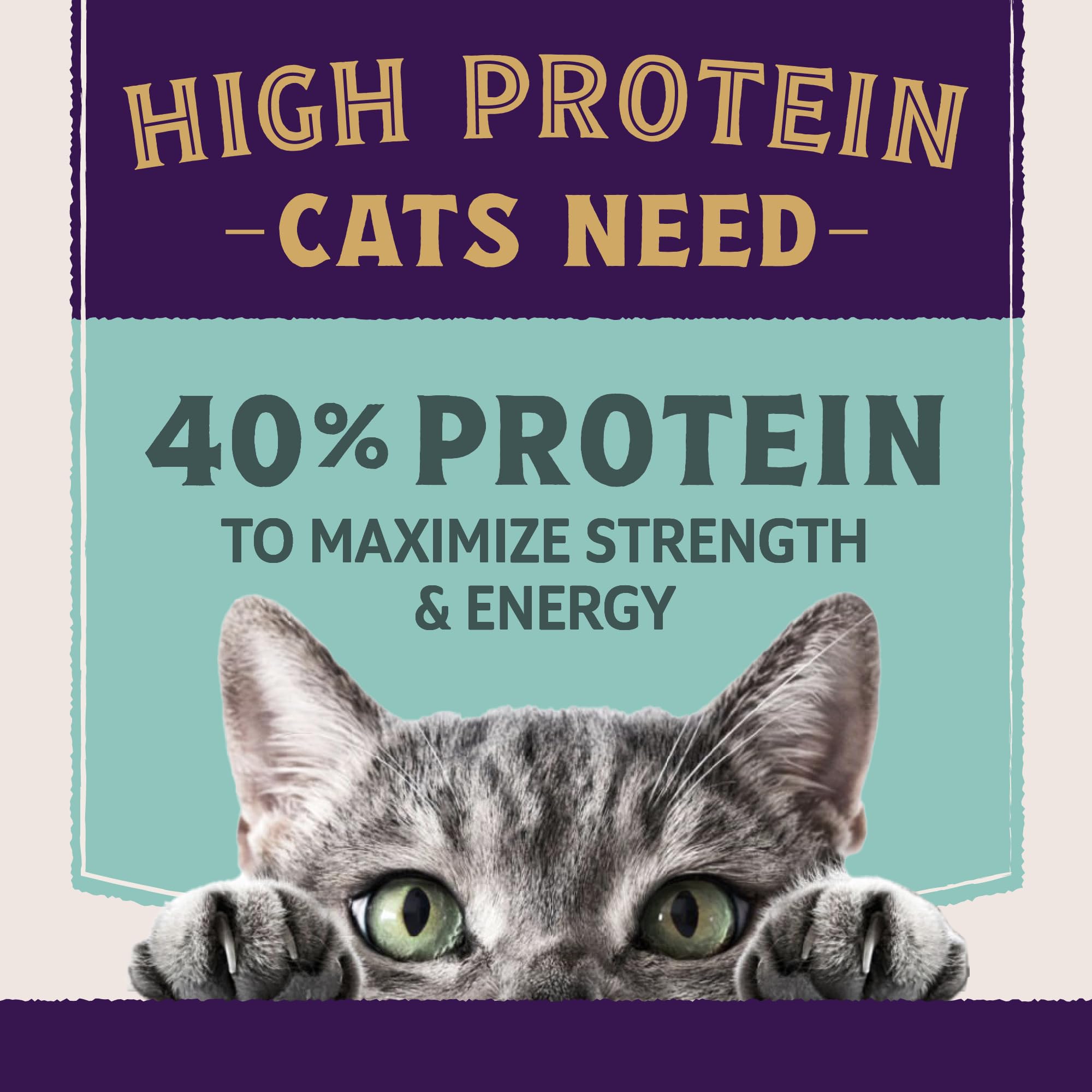 Natural Balance Ultra Protein Plus receta sin granos para dietas sensibles.