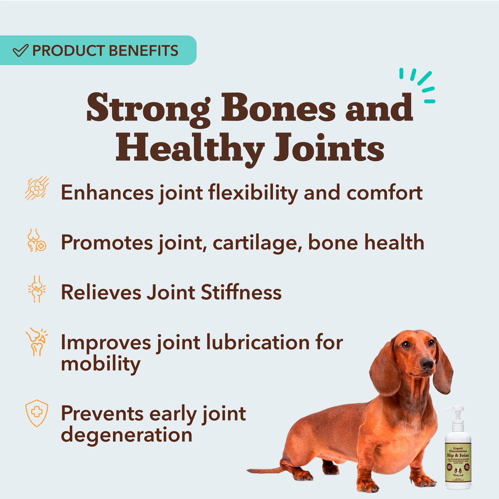 Natural Dog Company Aceite glucosamina: gotero para dosis diaria sin pastillas.