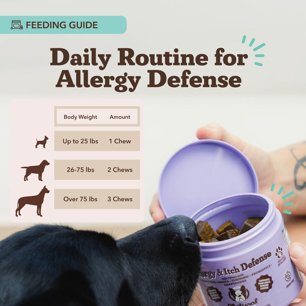 Natural Dog Company aceite-salmon, sabor suave y apoyo de grasa saludable.