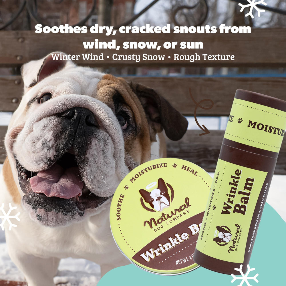 natural dog company aplica balsamo en arrugas faciales para mantener la piel limpia y cómoda.