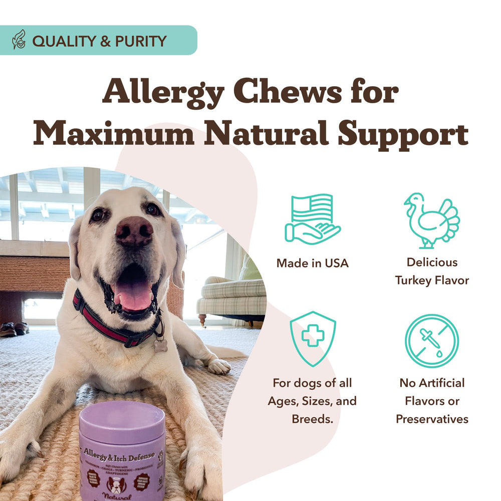 Natural Dog Company colostro-turmerico-echinacea, combinación potencial para la inmunidad diaria.
