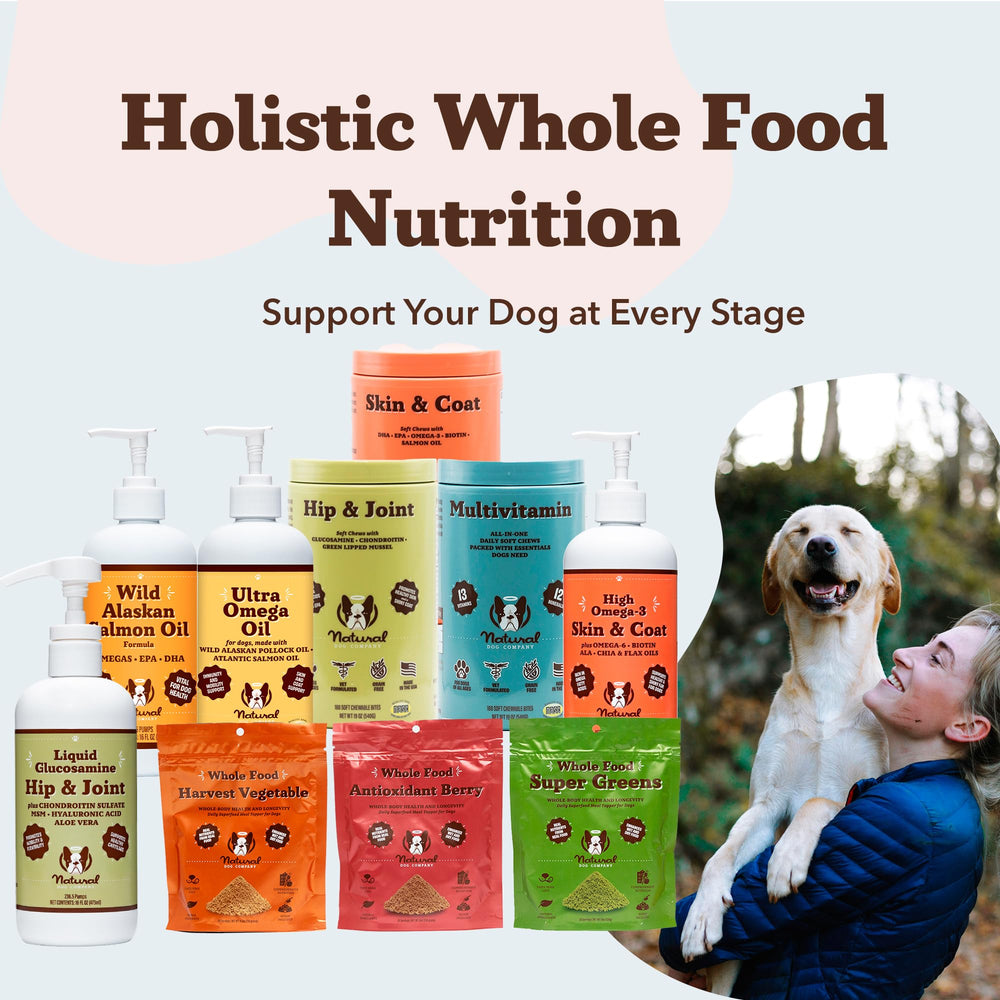 Natural Dog Company, perro senior con movilidad mejorada.