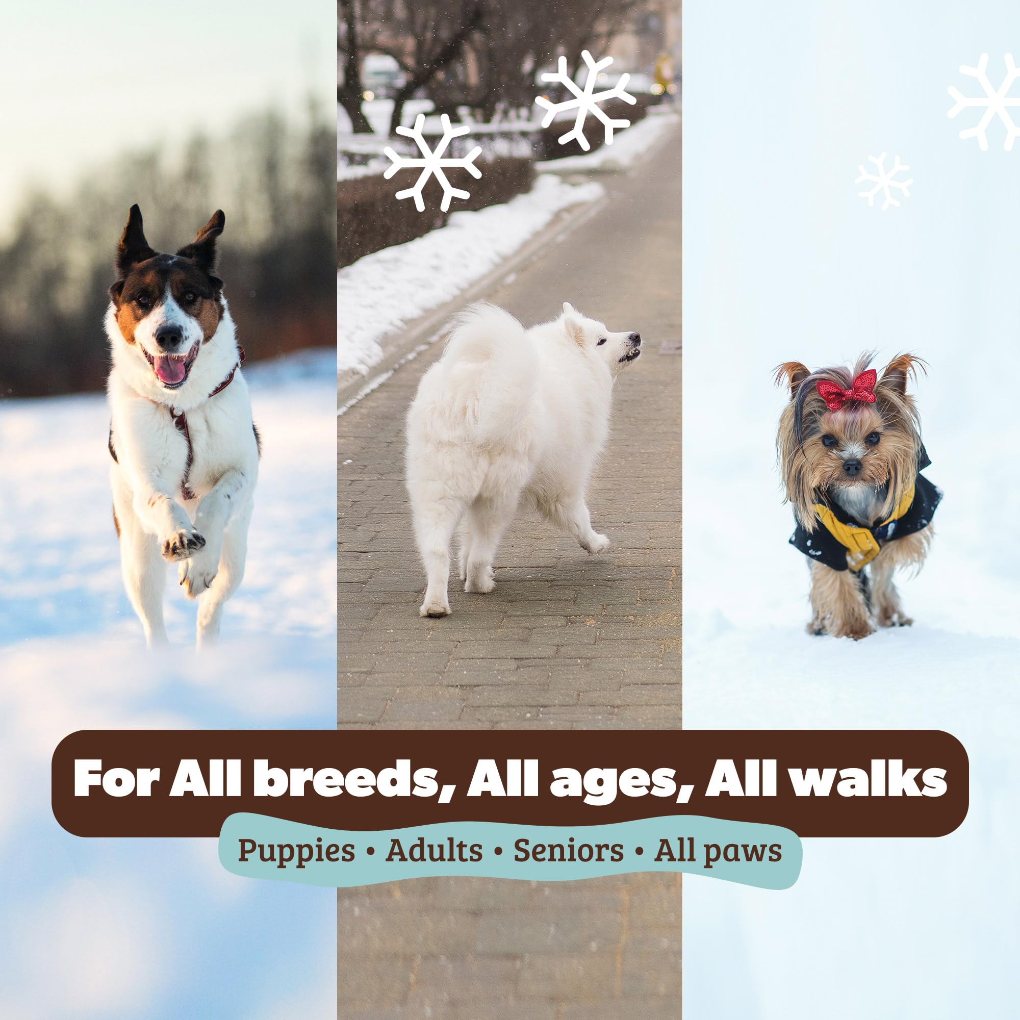 PawTection para hielo y sal, ideal en superficies heladas