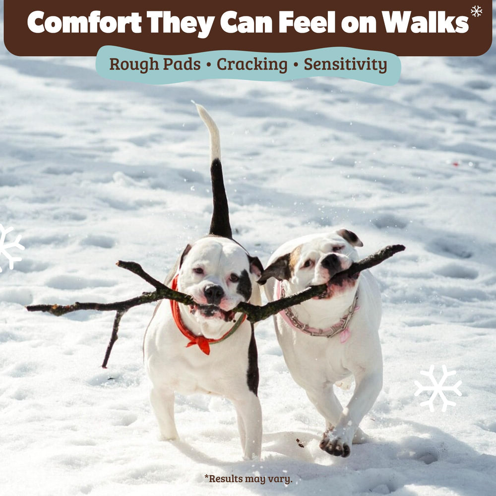 Patas suaves y flexibles con PawTection durante el invierno