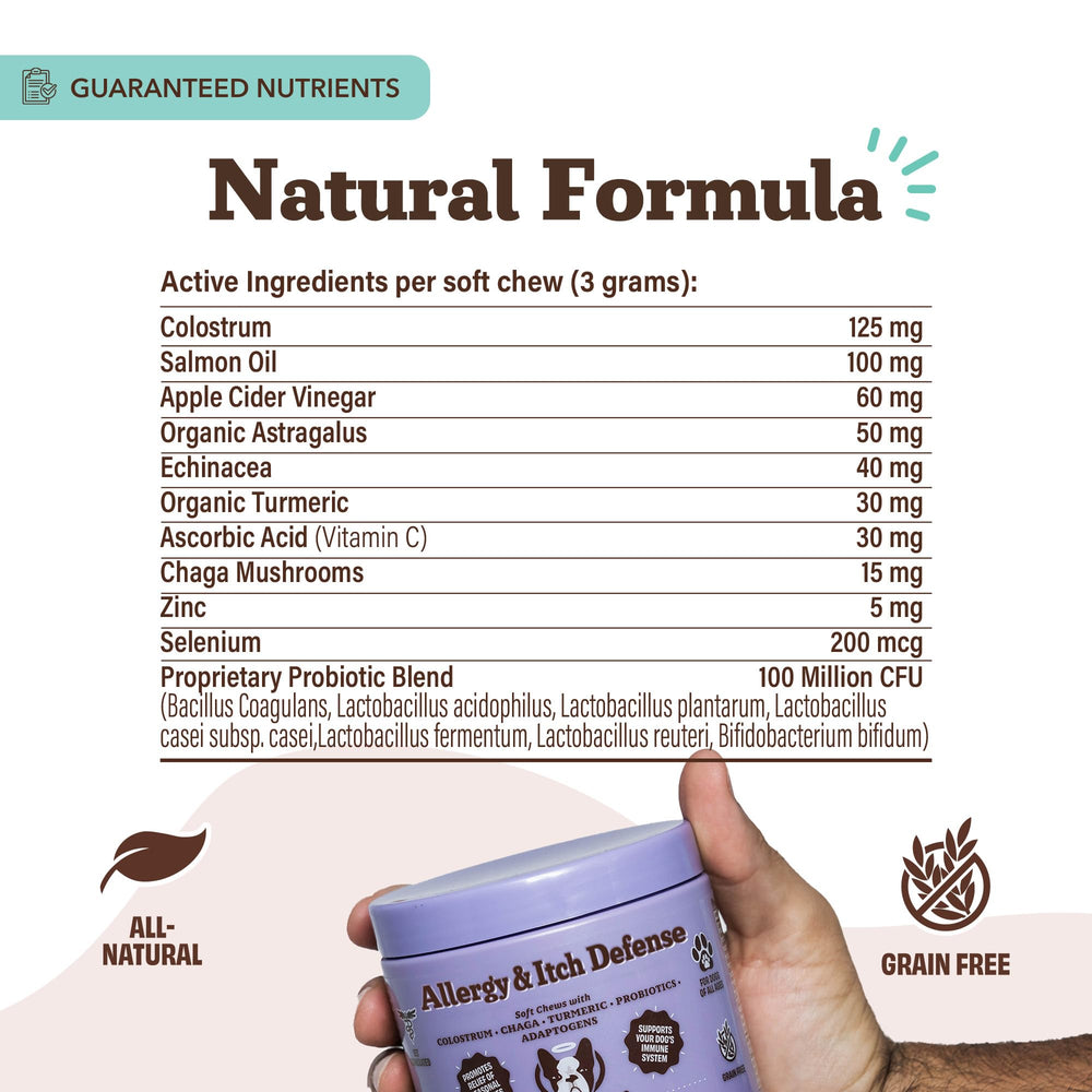 Natural Dog Company sin-granos, fórmula limpia para perros sensibles.