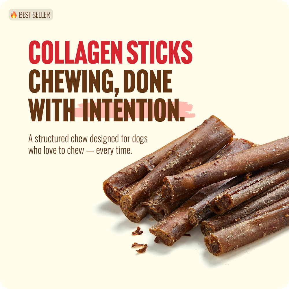 Natural Farm Bully Coated Collagen Stick, detalle de recubrimiento, sabor carne real.