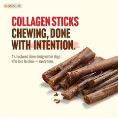 Natural Farm Bully Coated Collagen Stick, detalle de recubrimiento, sabor carne real.