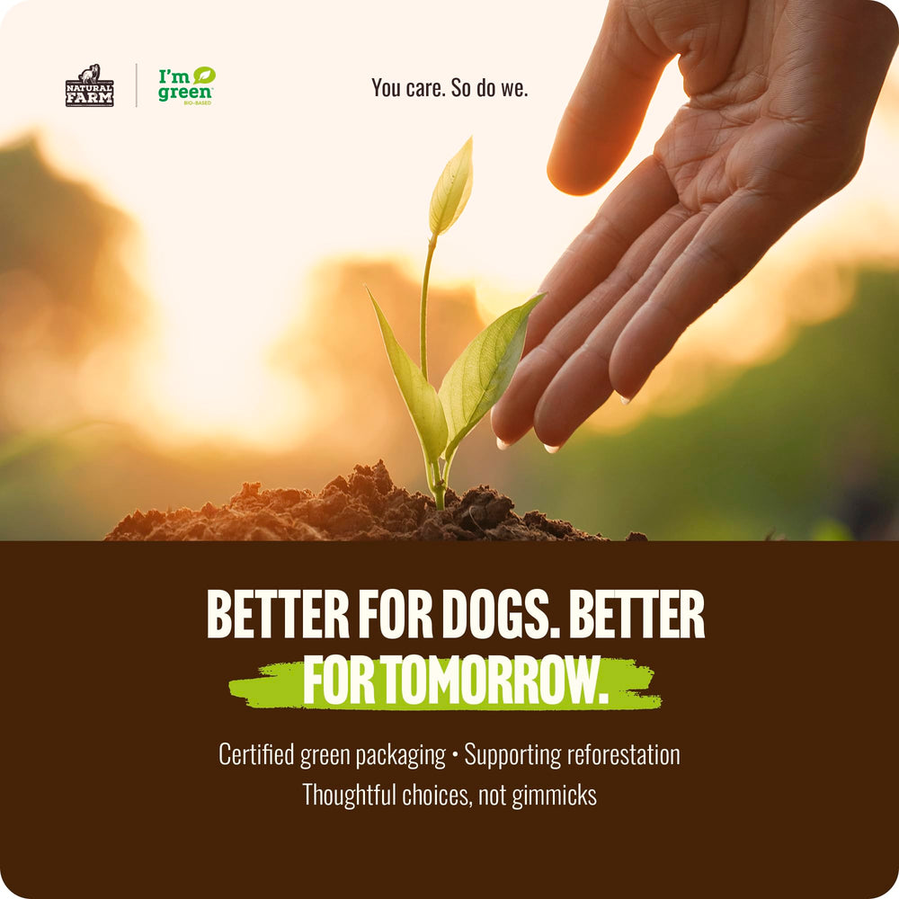 Natural Farm Bully Sticks para razas pequeñas y medianas, ideal para juego y entrenamiento
