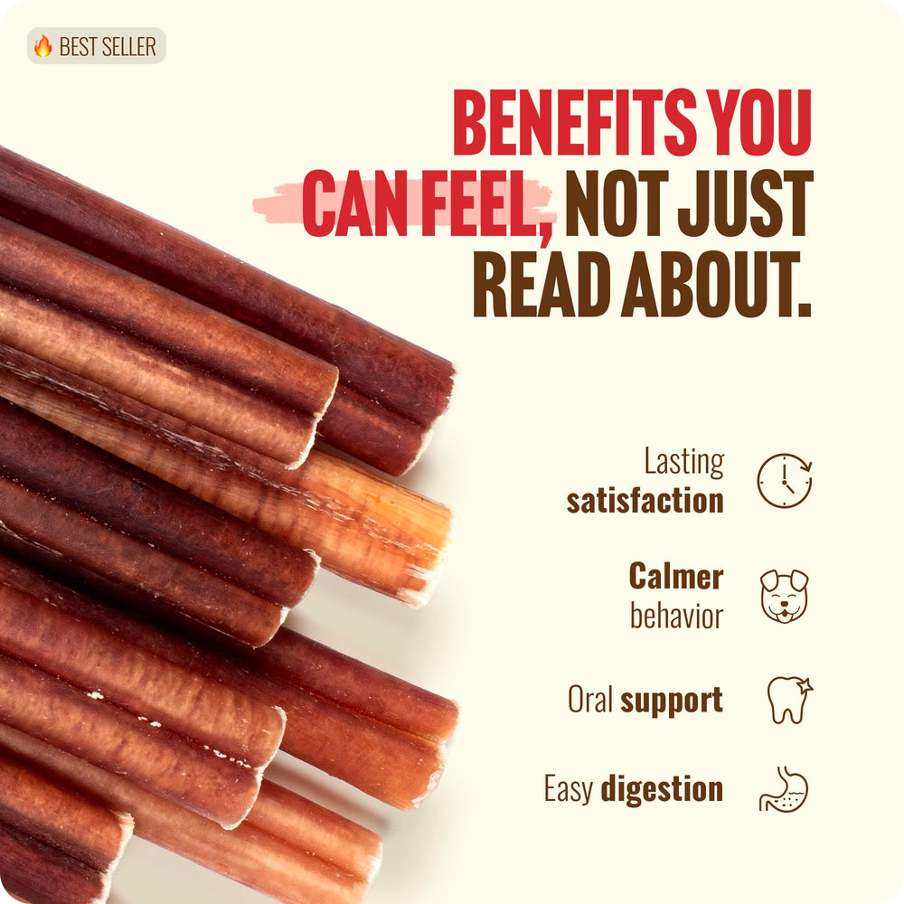 Reducción de ansiedad mediante masticación tranquilizante; Natural Farm Bully Sticks son seguros.
