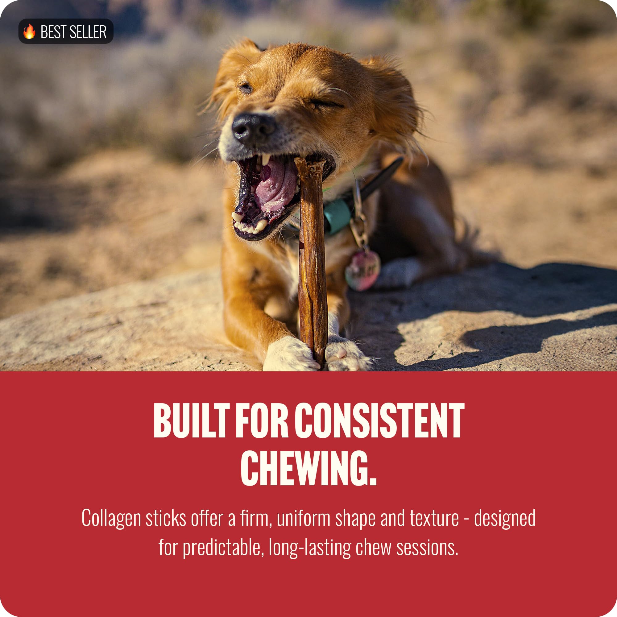 Natural Farm Collagen Sticks sans odeur pour chiens sensibles