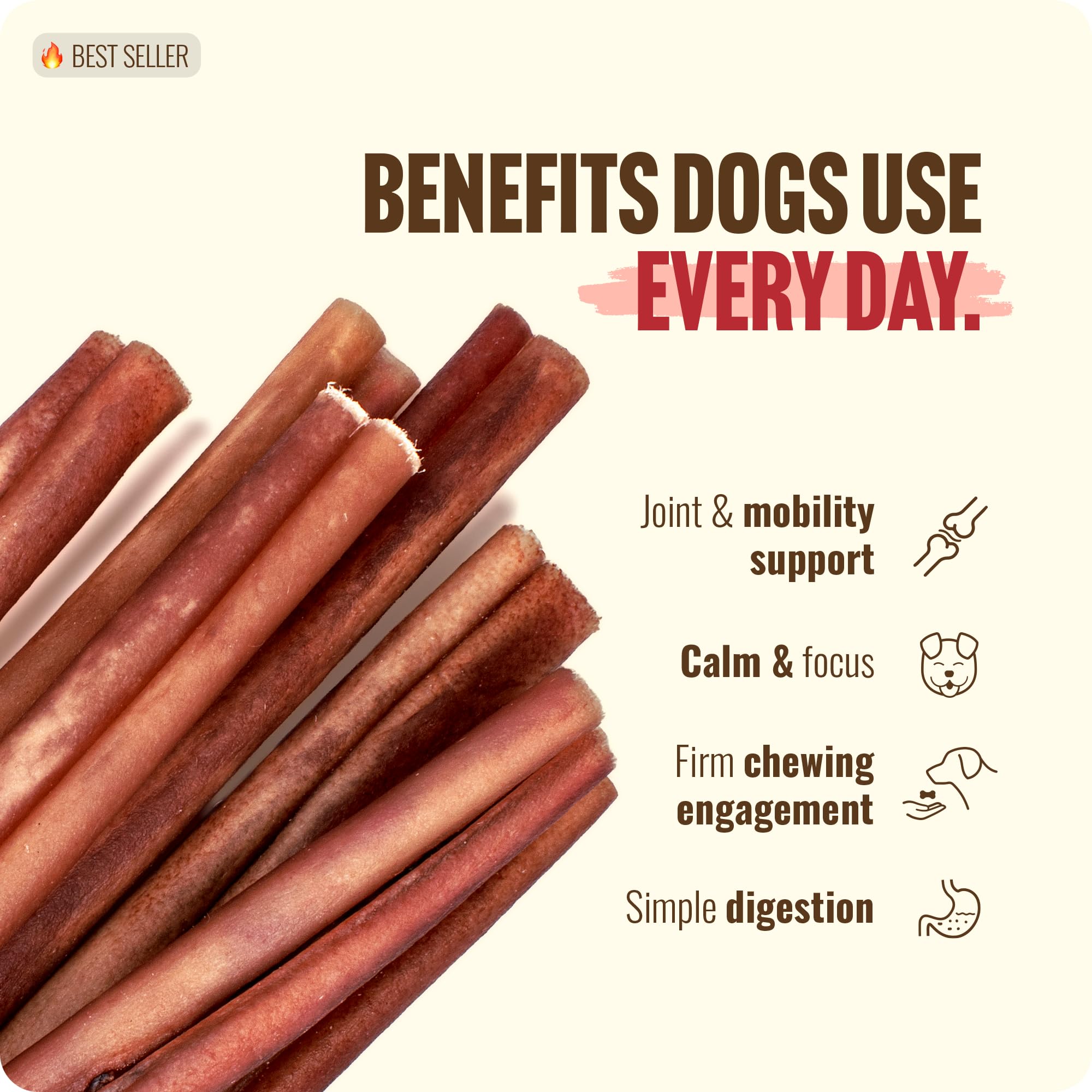 Natural Farm Energía y movilidad para perros activos.